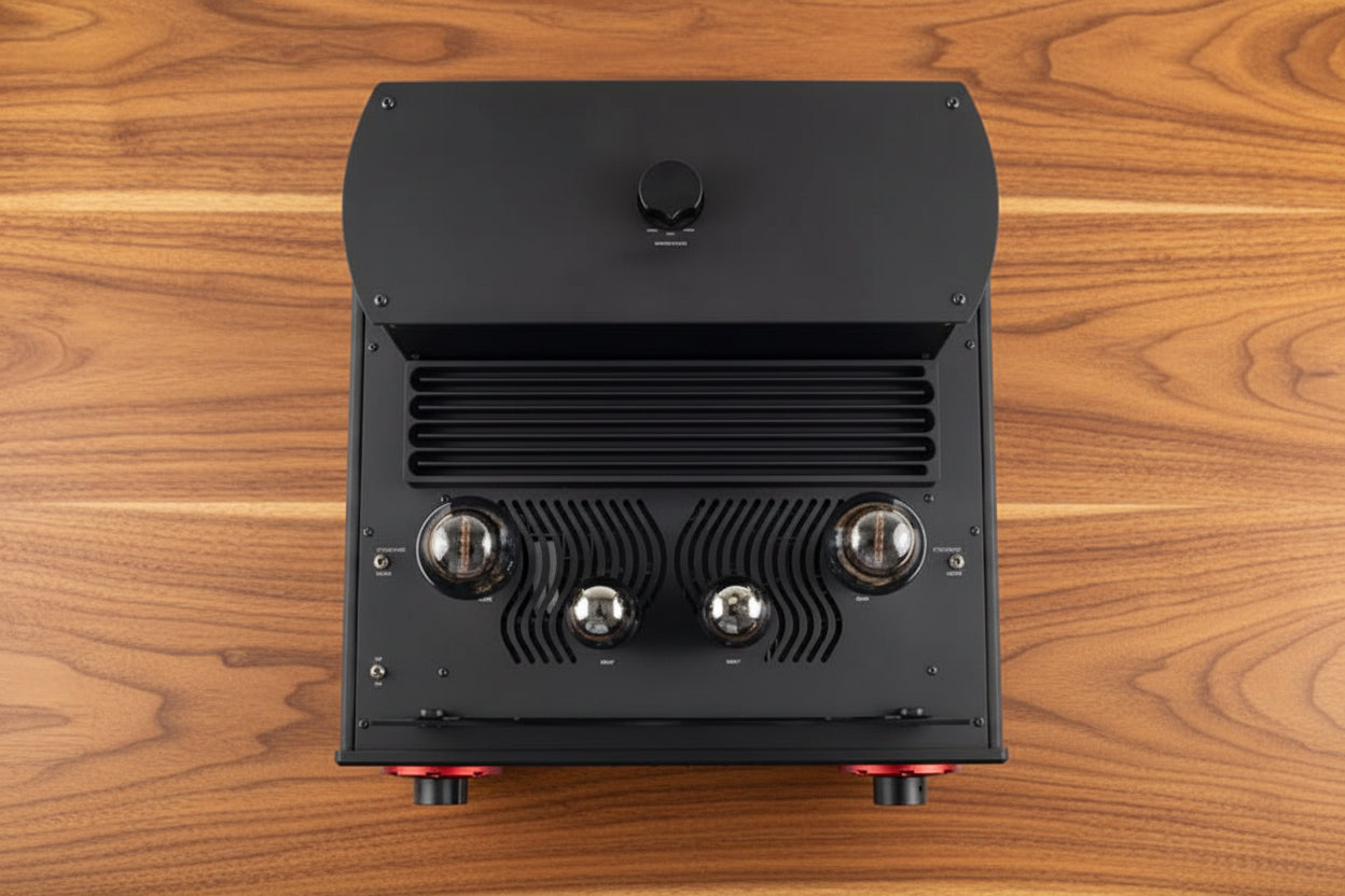 Headonia 300B II + RAAL Immanis