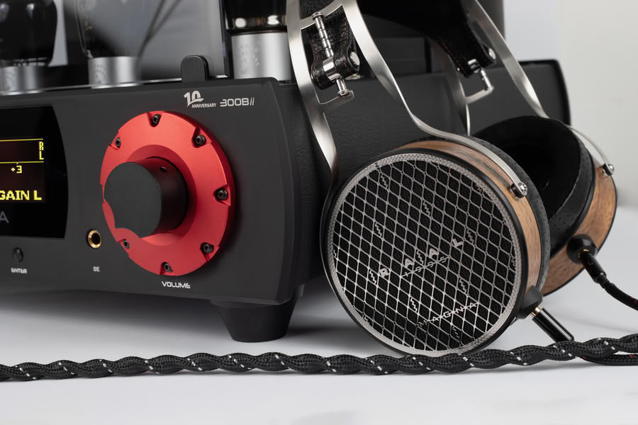 Auris Audio High End Tube Amplifier, DAC, Headphone amp, Turntable