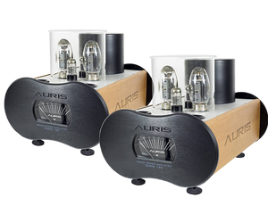 Forte 150 - AurisAudioShop